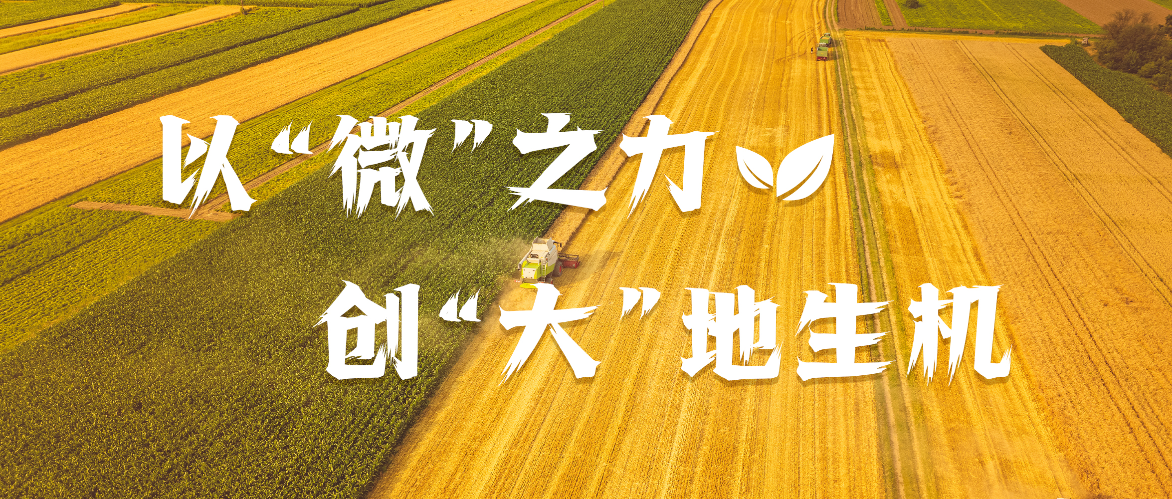 &#24320;&#20803;&#32593;&#31449;&#30331;&#24405;&#20837;&#21475;&#95;&#24320;&#20803;&#65288;&#20013;&#22269;&#65289;